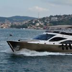 Private Boat Tour on Bosphorus Cruise in Istanbul
